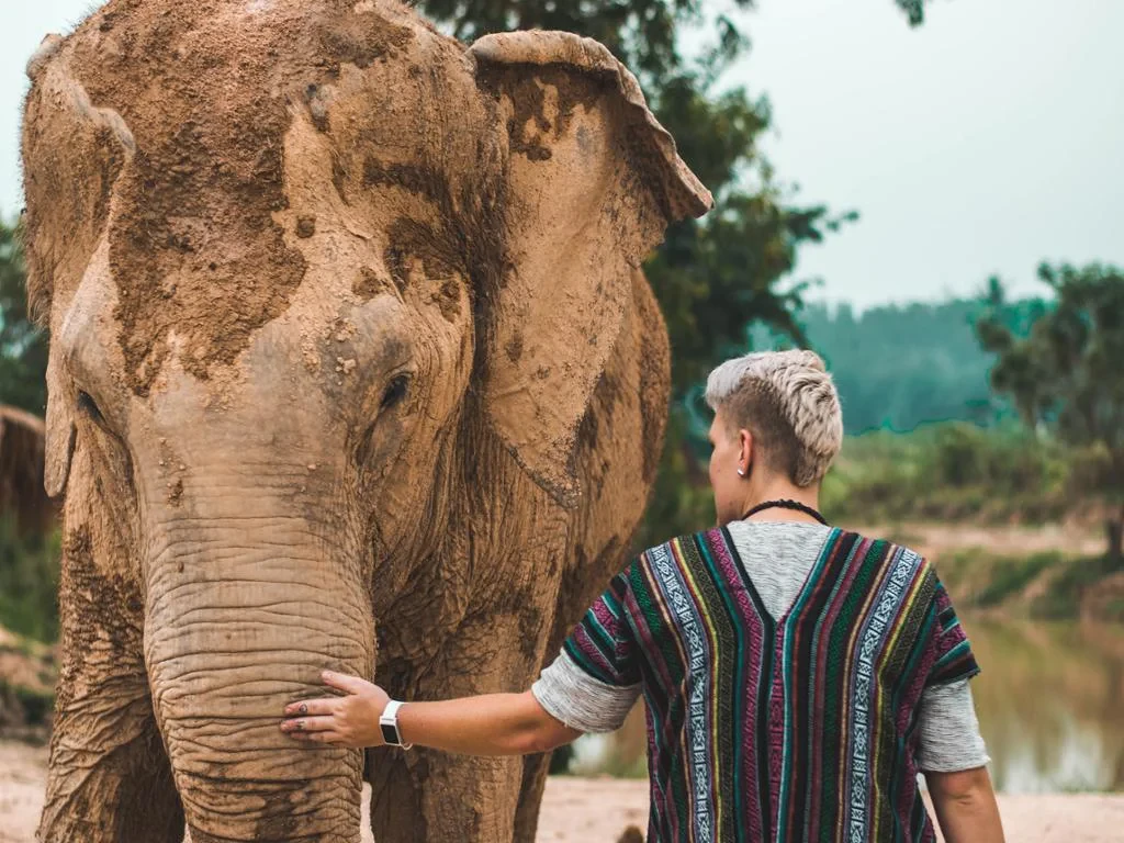 Visit Pattaya Elephant Sanctuary - Half-Day Tour - Photo 6