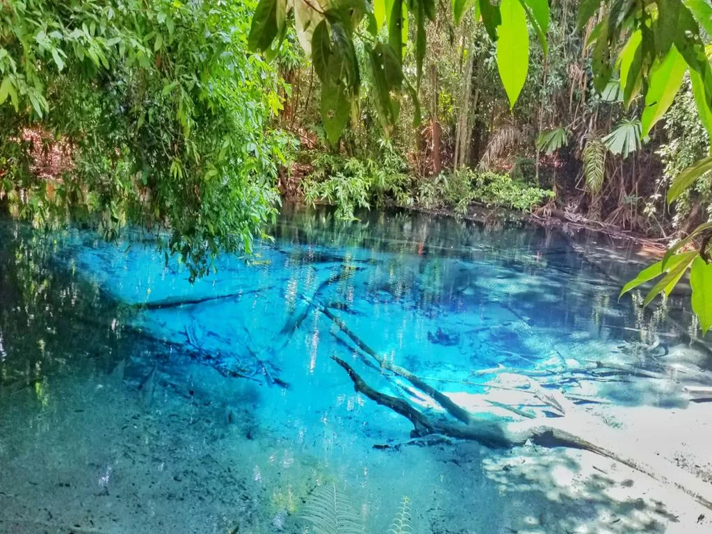White Temple, Emerald Pool and Hot Springs - Full-Day Tour - Photo 7