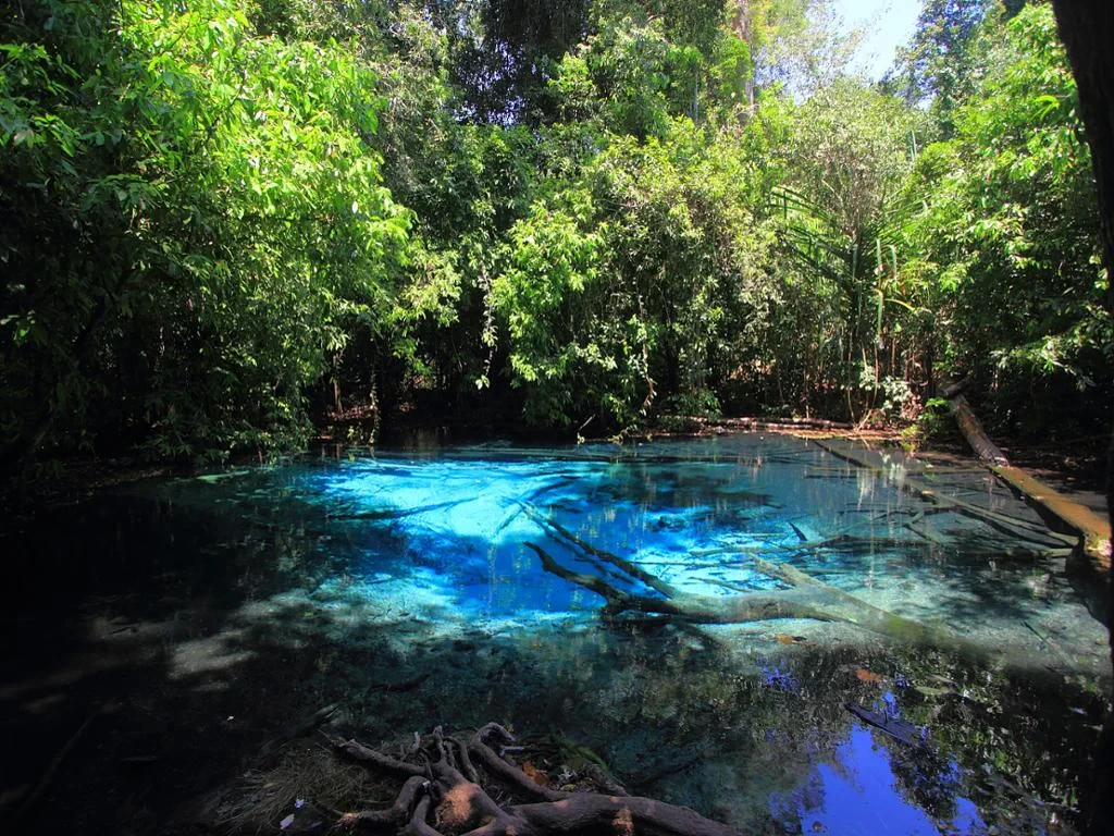 White Temple, Emerald Pool and Hot Springs - Full-Day Tour - Photo 9