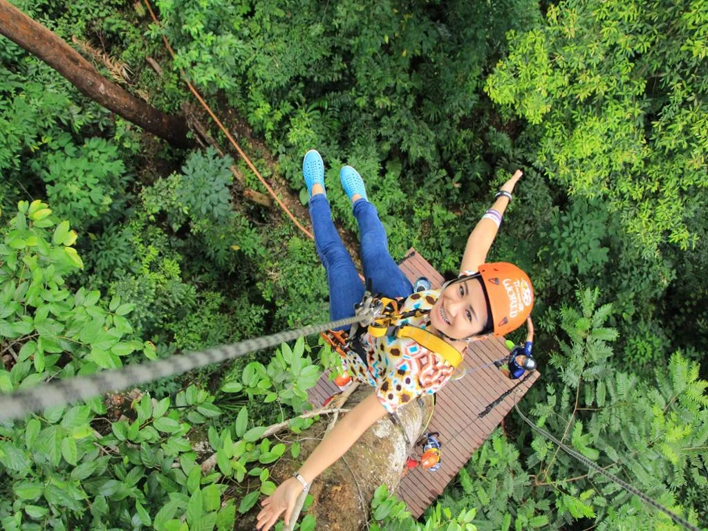 Zip Line Adventure over the Rainforests