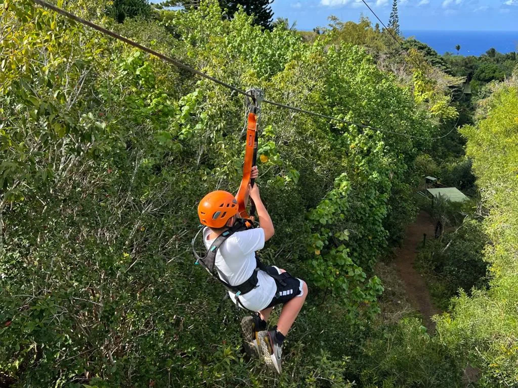 Zip Line Adventure over the Rainforests - Photo 2