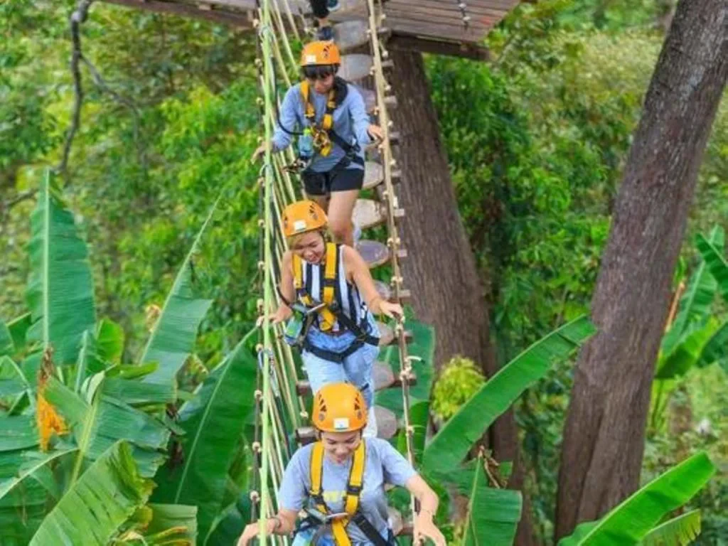 Zip Line Adventure over the Rainforests - Photo 5
