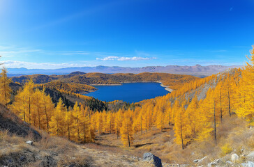 Traditional yurts at Kolsai Nomad near Almaty, showcasing the rich culture and heritage of Kazakhstan, a unique highlight among Almaty attractions.