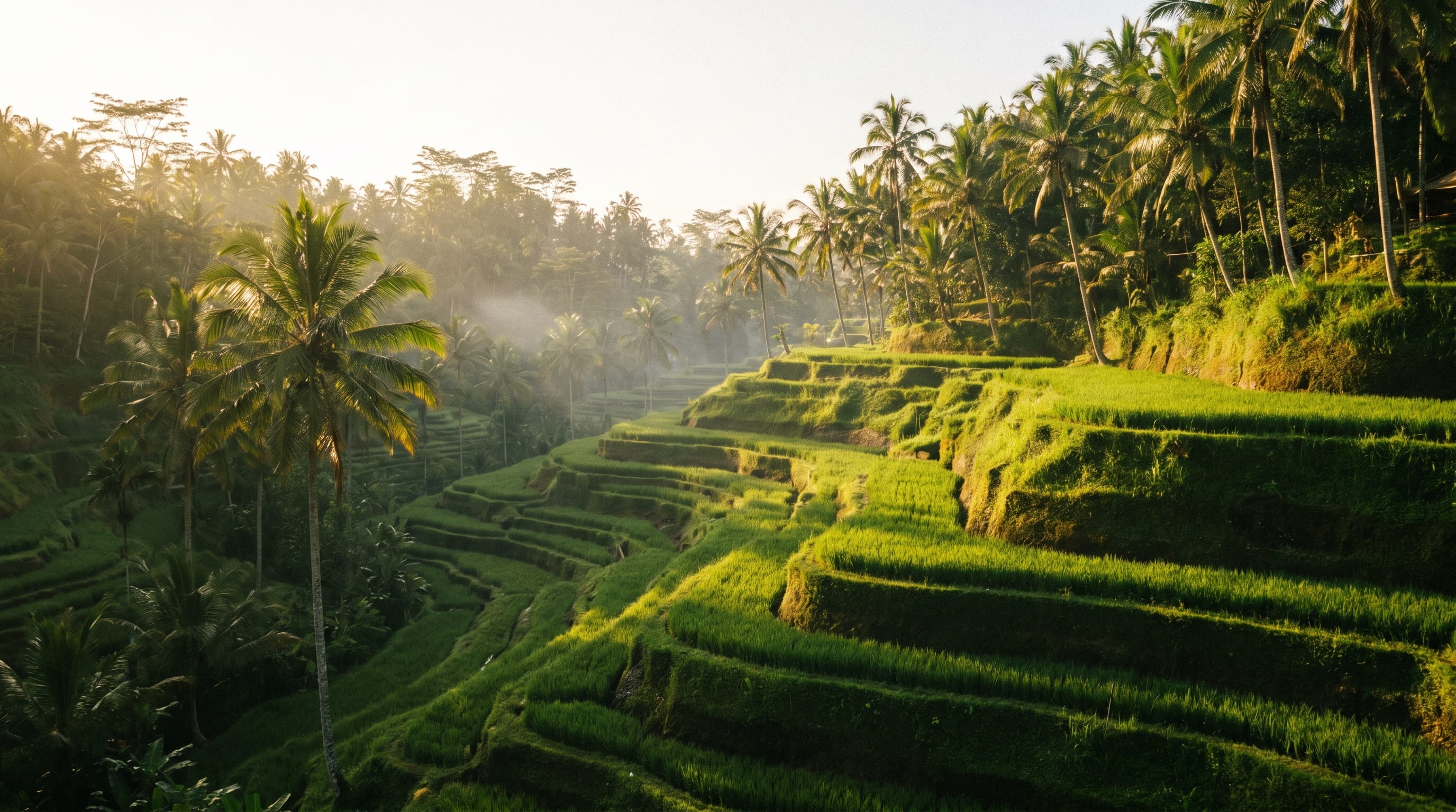 things to do in bali