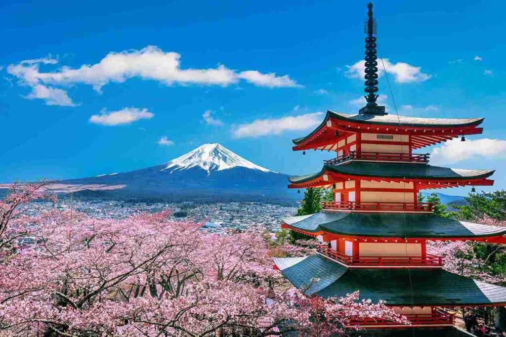 <a href="https://www.freepik.com/free-photo/cherry-blossoms-spring-chureito-pagoda-fuji-mountain-japan_10824511.htm#fromView=search&page=1&position=1&uuid=3303581e-db80-4e66-bf90-da2c149883b4">Image by tawatchai07 on Freepik</a>