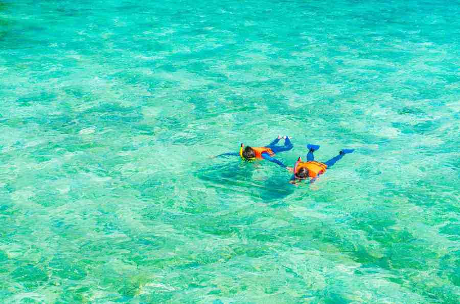 Couples get a Snorkeling in Maldives Crystal Clear Water (frepik) https://www.freepik.com/free-photo/couple-snorkeling-tropical-maldives-island_1129690.htm#fromView=search&page=1&position=25&uuid=423d36d6-bf5c-4329-8a77-4e48f11645c3
