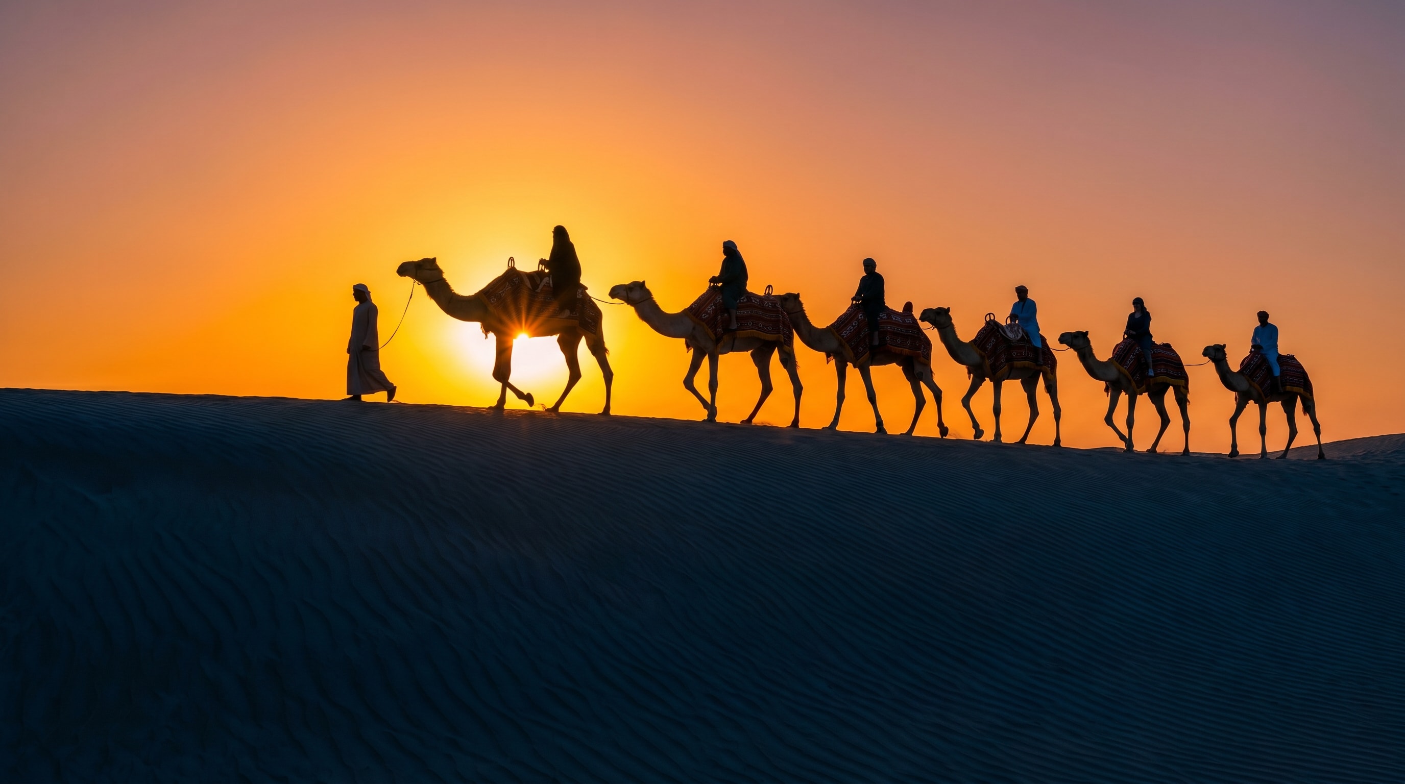 Camel caravan silhouetted at sunset on a Dubai desert safari