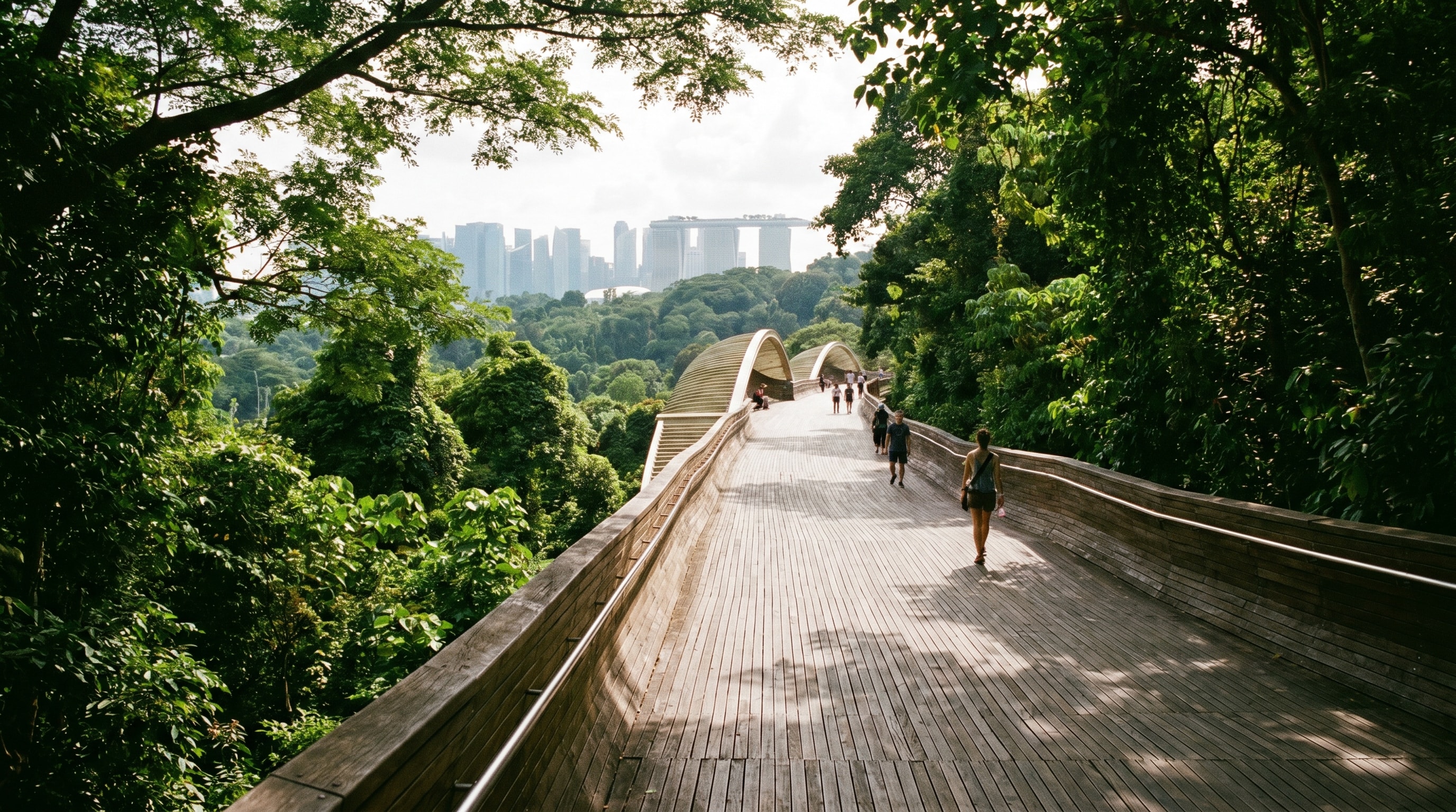 The wavy timber Henderson Waves bridge on the Southern Ridges walk in Singapore