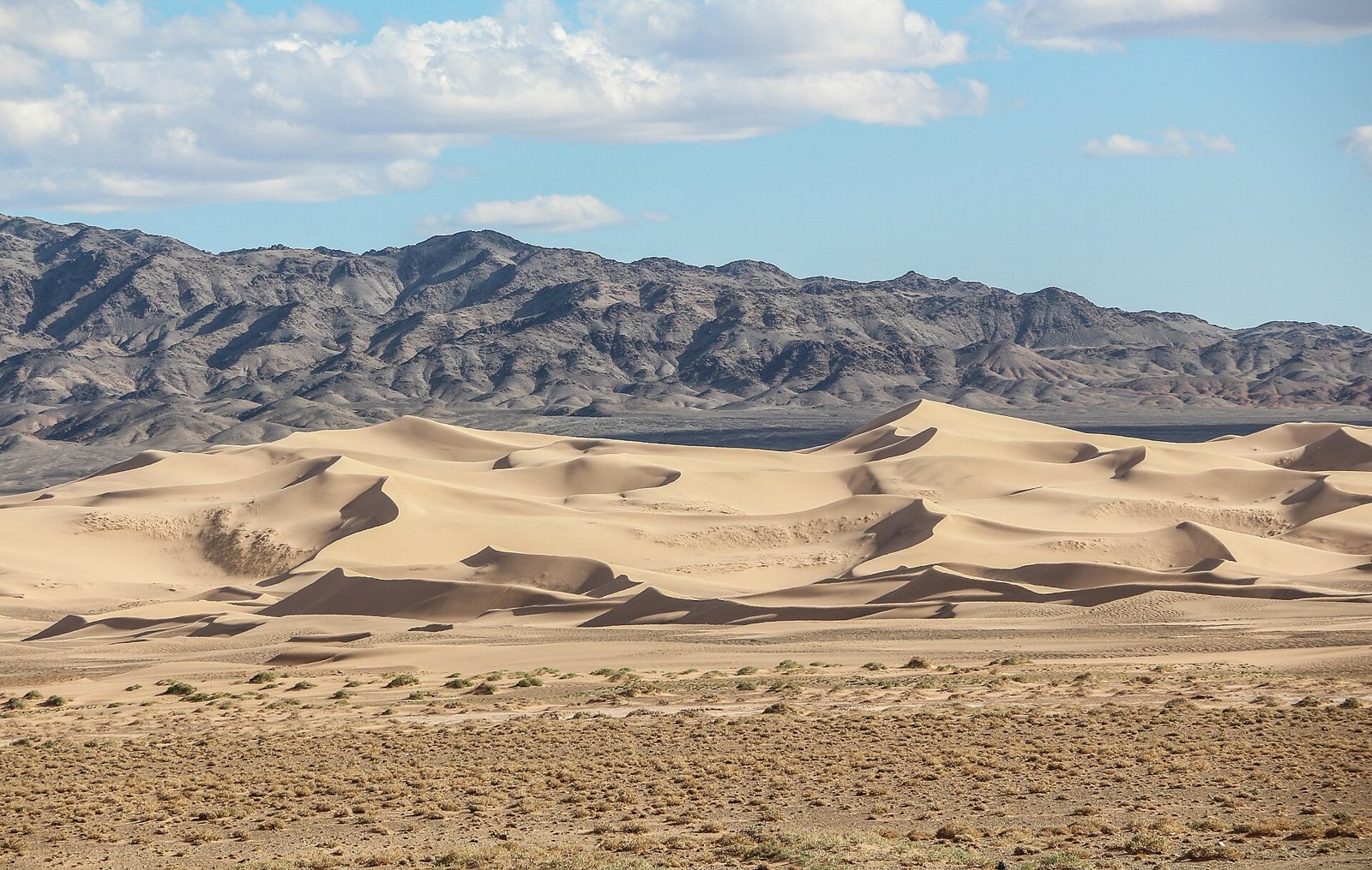 Mongolia Trip from India: Visa, Flights, Cost & 10-Day Route