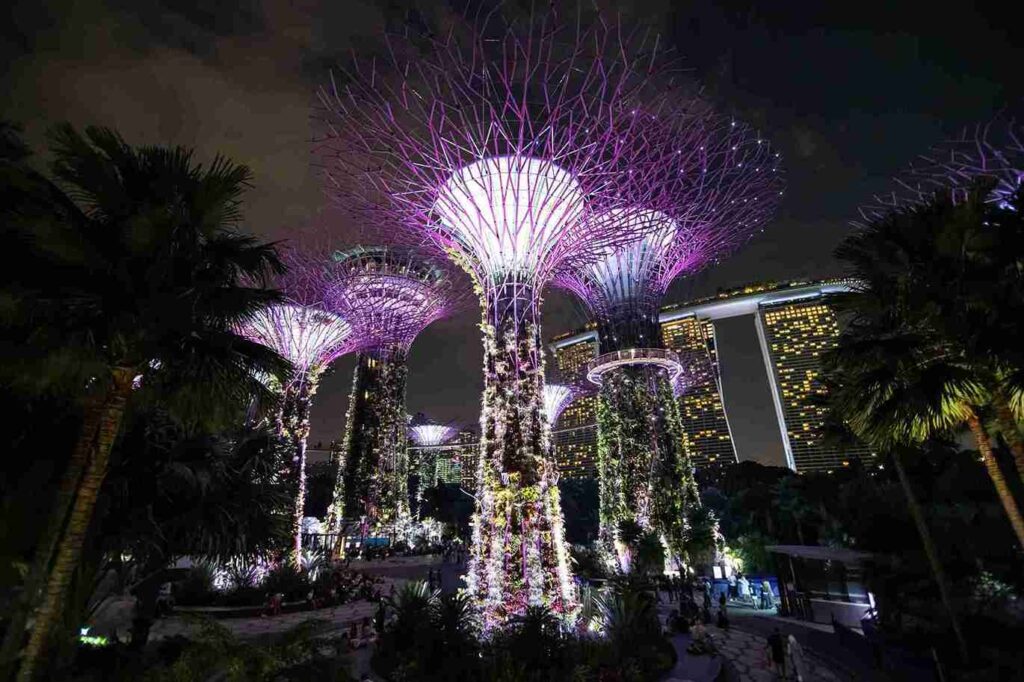 <a href="https://www.freepik.com/free-photo/night-view-supertrees-grove-cloud-forest-flower-dome-gardens-by-bay_8473007.htm#fromView=search&page=1&position=0&uuid=90e2cec6-2768-497e-bbd1-c8517f97991b">Image by diana.grytsku on Freepik</a>
4 Nights and 5 Days Singapore Tour Package