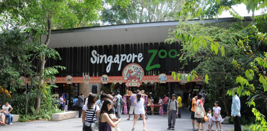 best place to visit in Singapore
