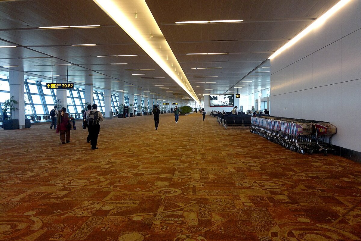 Airport immigration counters New Delhi — six month passport rule