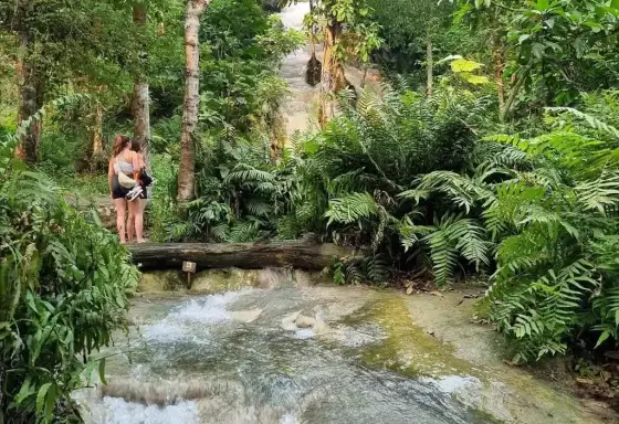 Explore  Bua Thong Waterfalls - Half-Day Tour