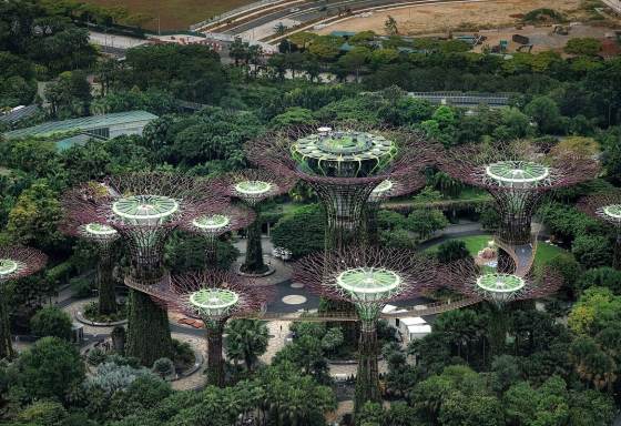 Singapore Fixed Departure Group Tour - 4 Nights 5 Days with Indian Meals