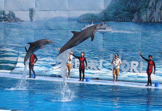 Thailand Family Tour Package - 5 Nights 6 Days Pattaya, Bangkok, Safari World & Dinner Cruise