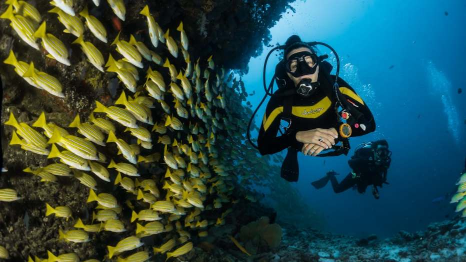Cebu & Bohol Adventure - 5 Nights 6 Days Philippines Thrills & Nature 2