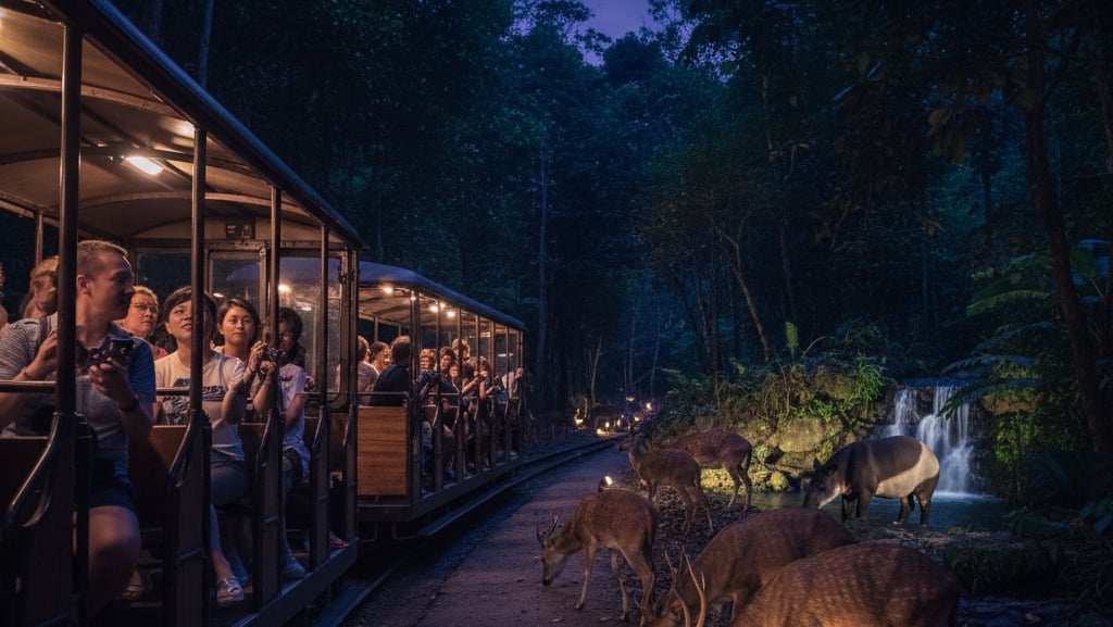 Singapore Ultimate Wildlife - 4 Nights 5 Days Zoo, Safari & Bird Paradise Package 3