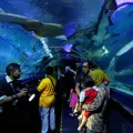 Aquaria KLCC Tickets