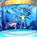 Aquaria Phuket - Ticket