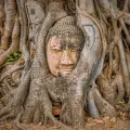 Ayutthaya from Bangkok by Road - Full-Day Tour