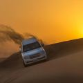 Desert Safari, Dune Bashing and BBQ Dinner