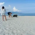  Discover Koh Tan and Koh Madsum Islands – Half-Day Tour