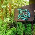 Discover River Wonders with Optional Transfer