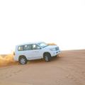 Dune Bashing in The Desert - Morning Safari with Camel Ride and Sand Boarding
