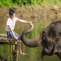 Elephant Sanctuary and Erawan Waterfall - Full-Day Private Tour