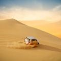 Emirati Desert Tour with Private Photoshoot