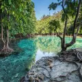 Enjoy - Jungle Tour & Emerald Pool