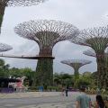 Explore Singapore - Private Car Charter