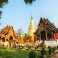 Explore the Wat Phra Singh and Wat Chedi Luang temples - Half-Day Tour