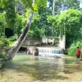 Exploring Samui Island with Elephant Care Camp, Fruit Plantation and Waterfalls - Full-Day Tour