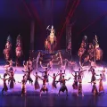 Fantasea Show Only 