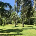 Football Golf Samui