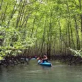 Forest Kayaking in Bor Thor - Half-Day Tour