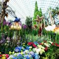 Gardens by the Bay - Ticket