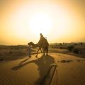 Heritage Safari by Vintage G Class with BBQ at Al Marmoom Oasis