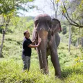 In the Footsteps of Giants