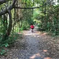Jungle Cycling Tour