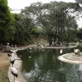 KL Bird Park Tickets