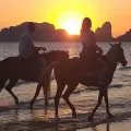 Krabi Horse Courses