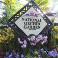 National Orchid Gardens