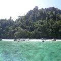Phi Phi + Maya + Bamboo Island Tour by Speedboat