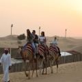 Red Dunes and Camel Safari with Overnight Camp Stay