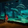 River Wonders