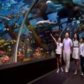 S.E.A. Aquarium Direct