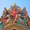 Singapore Cultural Experience - Private Tour