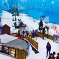 Ski Dubai Slope with Transfers